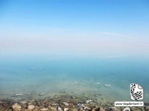 دوره ۱۲۲ ویرایش، دانشگاه خلیج فارس، بوشهر، ویراستار، سیدحمید حیدری‌ثانی