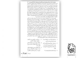 ویراستارباشی 2